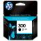 HP Cartus cerneala 300 Black