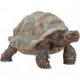 Jucarie Wild Life   14824 Giant tortoise