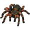 Jucarie Wild Life  14829 Tarantula