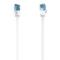 Network Cable, CAT 6a, 10 Gbit/s, U/UTP, Flat, 10.00 m